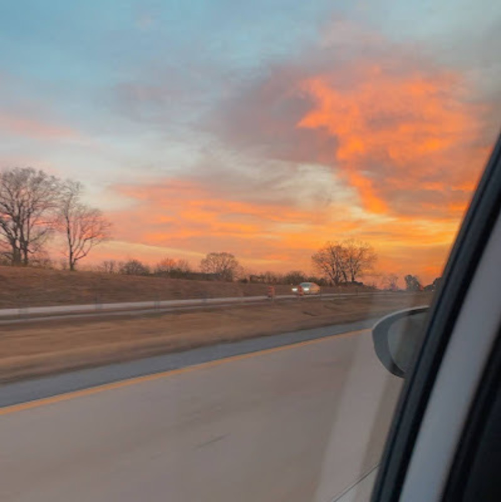 Meet your Posher, Tayler